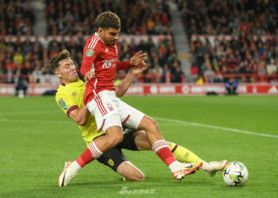 业逻辑的体 业逻辑的体